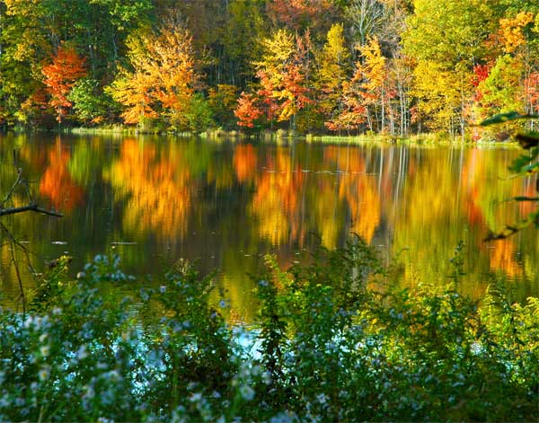 Autumn Watercolot Reflection