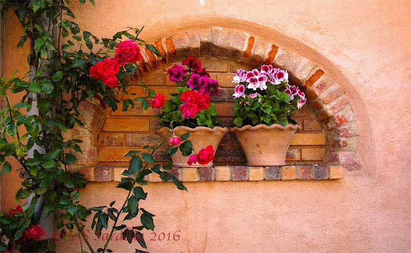 Scalloped Flower Pots on Stucco Walls