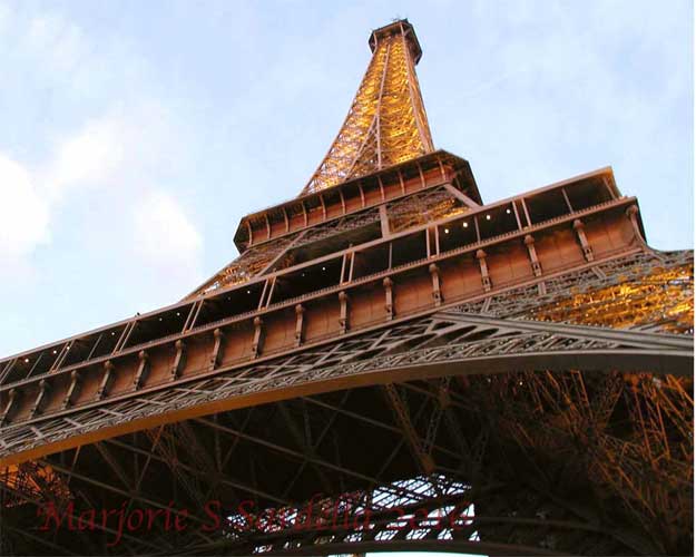 Eiffel Tower, a Bottom-up View