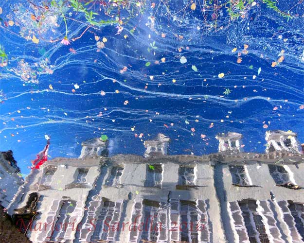 Nature's Confetti ~ Bruges, Belgium