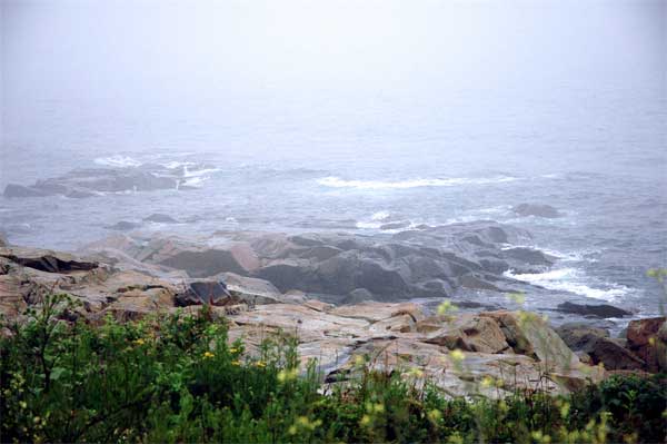 Foggy Rockport Coastline