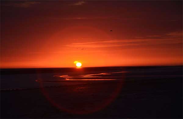 Sunset and Seagulls, Mont St. Miche;l