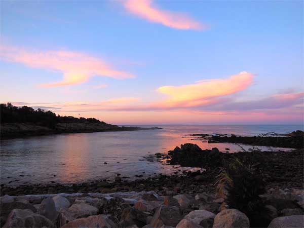Along the Water's Edge Gallery