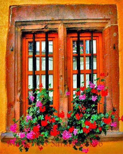 Pink and Red Kalanchoes