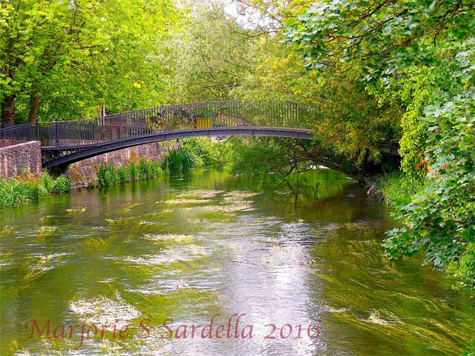 A View of the Avon River ~ Salisbury, England