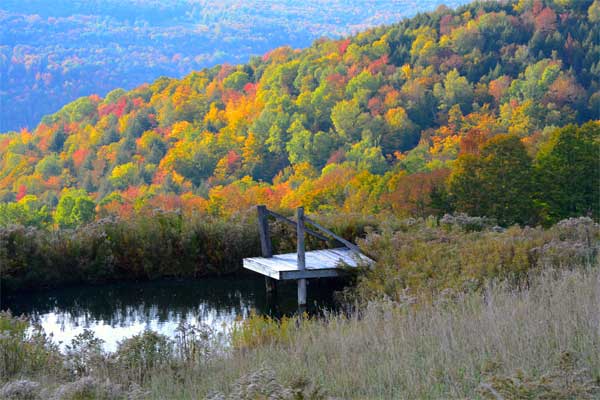 Autumn Retreat