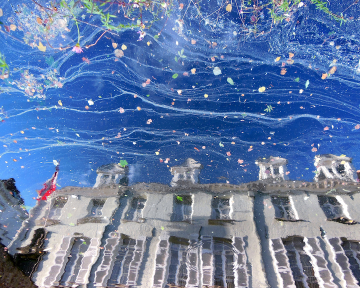 Nature's Confetti – Bruges, Belgium